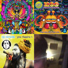 Raja Ram´s Stashbag Volume 5 | Various | TIP Records