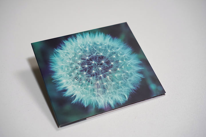 Utsusemi (うつせみ) | Yoshio Machida | Amorfon