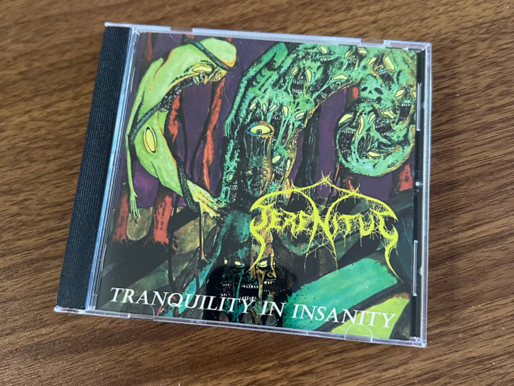 Tranquility In Insanity | Serenitus
