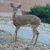 applecider05 thumbnail