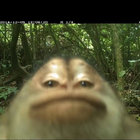 khas_gro thumbnail