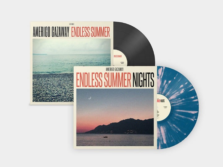Amerigo Gazaway Endless Summer LPレコード Endless Summer Nights | Amerigo Gazaway