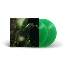 12" 2LP - EN TÜÜFUS TÜMPU Edition, image 1