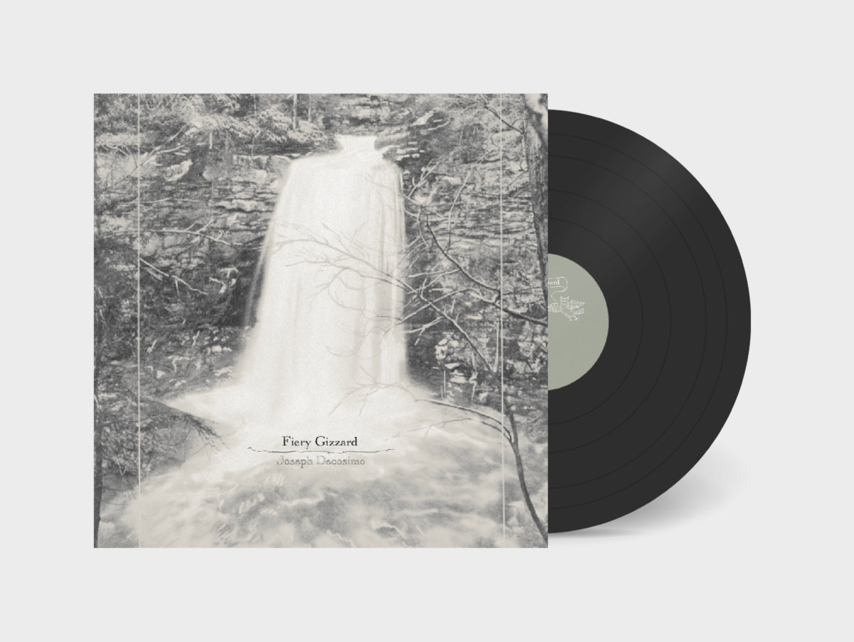 Fiery Gizzard | Joseph Decosimo, image size:1200x902