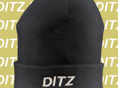 DITZ Logo Beanie | DITZ