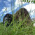 la_triste_corneille thumbnail