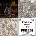 Misery Loves Company | The Freeze