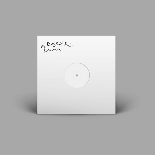 LP 自主盤 荒西要介/ SOUND IN VICTRON (VL001) Loner | Barry Can't Swim