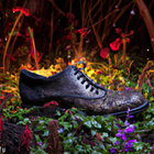nightbrogue thumbnail