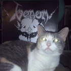 FSR060 Los Ass Draggers - Stinkin' Alive (LP) | Los Ass Draggers