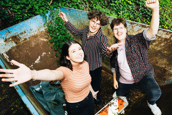 Live im Glashaus | Bonsai