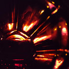 bleeee37 thumbnail