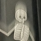 brocobilly thumbnail