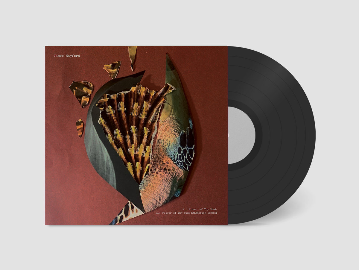 Split EP | James Hayford & BiggaBush | Filtered Deluxe Recordings