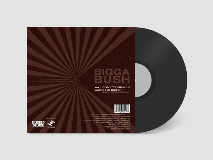 Split EP | James Hayford & BiggaBush | Filtered Deluxe Recordings