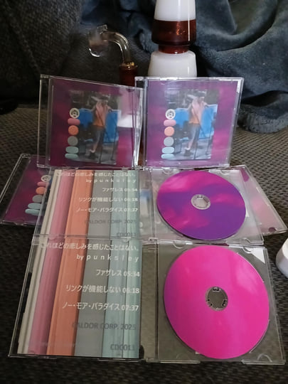 これほどの悲しみを感じたことはない。 | punksley | CALDOR CORP.