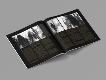 Limited Edition 12", image 5