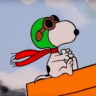 ram thumbnail