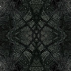 dalmat thumbnail