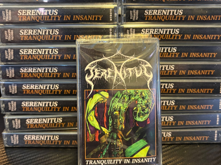 Tranquility In Insanity | Serenitus