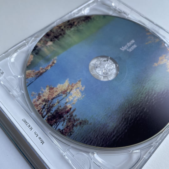 Scene | Merzbow | Mirae Arts