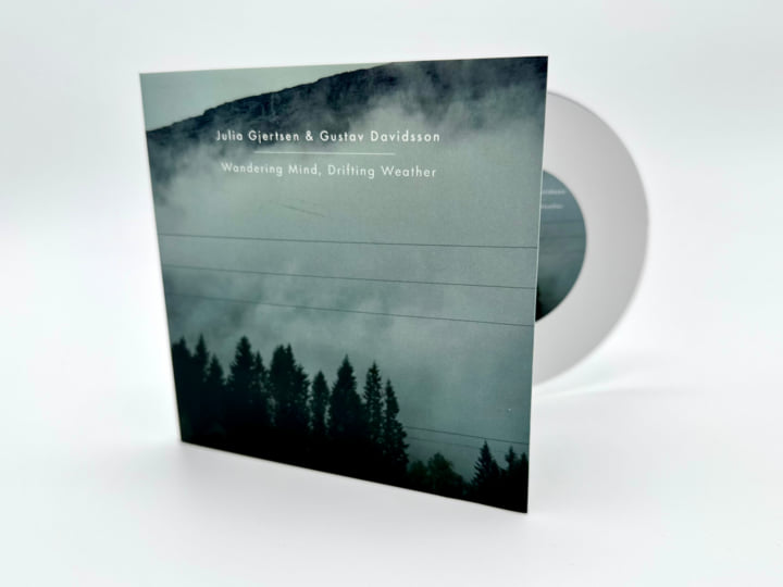 Wandering Mind, Drifting Weather | Julia Gjertsen & Gustav