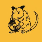 local marsupial thumbnail