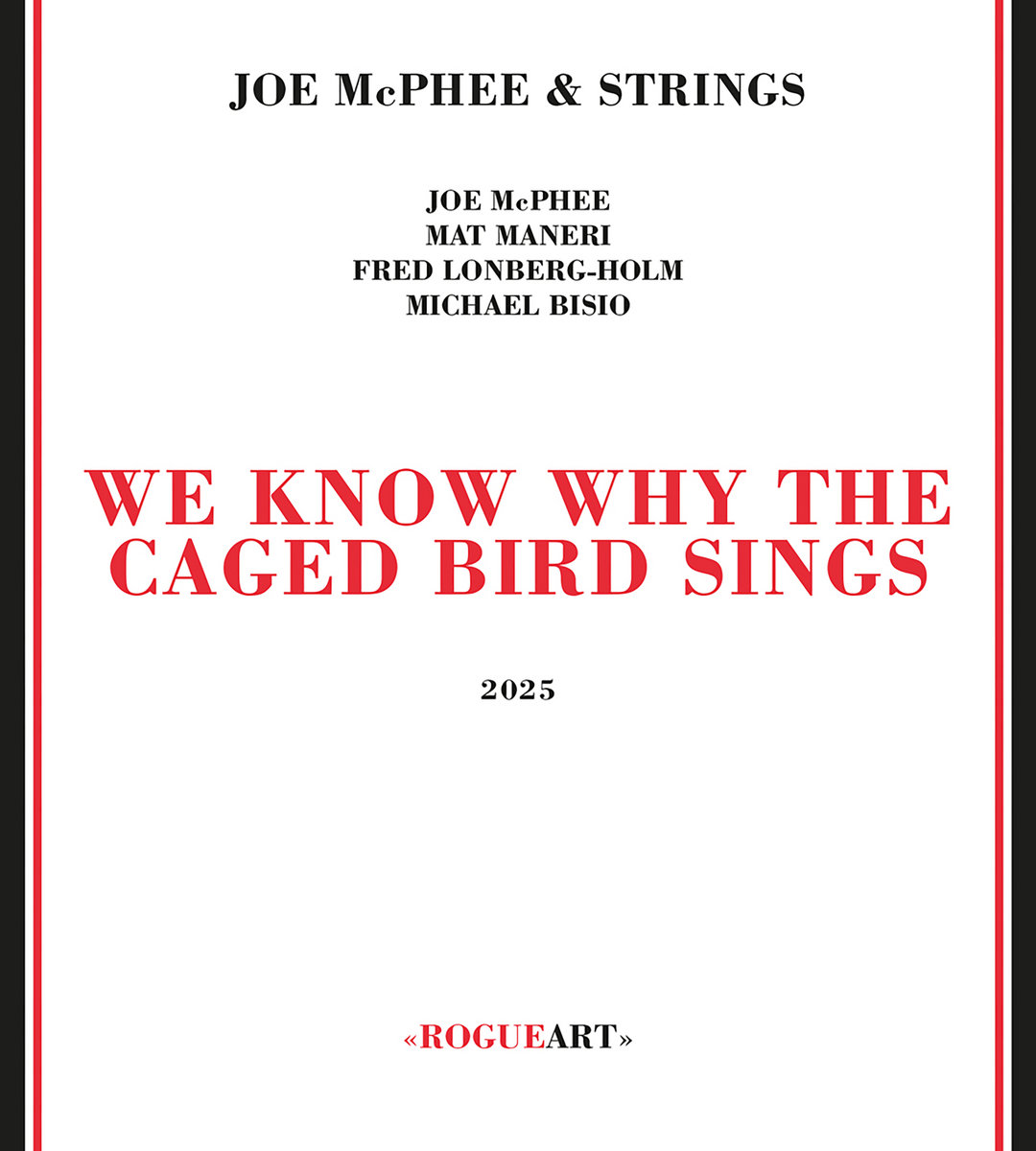 WE KNOW WHY THE CAGED BIRD SINGS | JOE MCPHEE & STRINGS (J