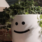 HappiePlant thumbnail