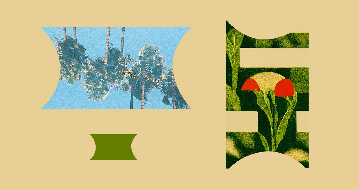 The Tape Label Report, June 2025 | Bandcamp Daily