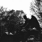 sojamiiilch thumbnail