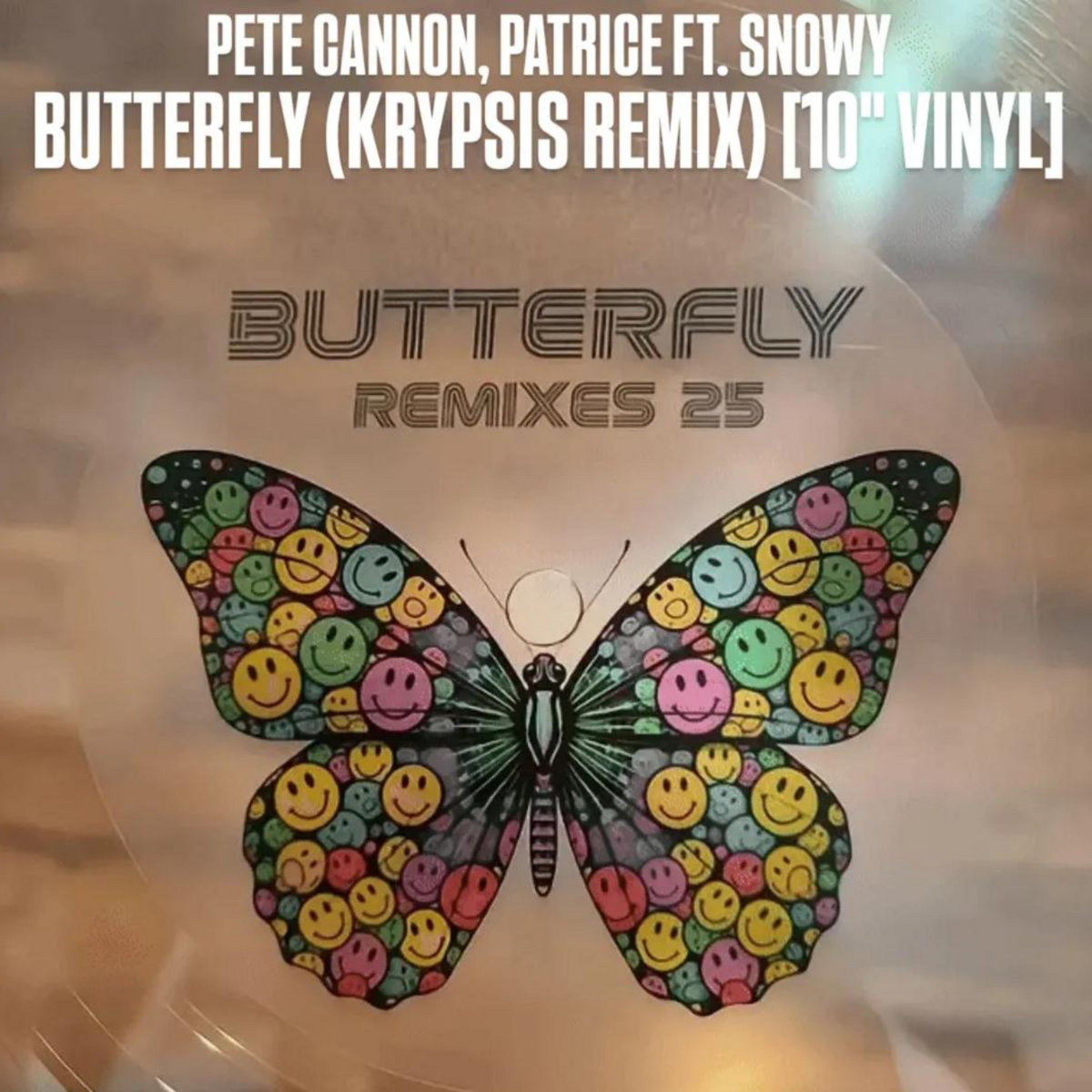 Butterfly Life USA 蝶々　キャンバスF4号 Butterfly Life USA 蝶々 キャンバスF4号 Butterfly Life USA