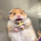 amummery24 thumbnail