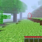 skogsvarelse thumbnail