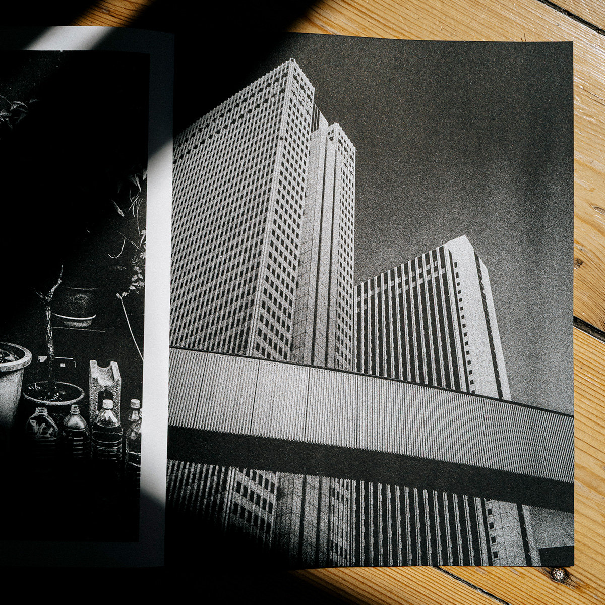Hagaki 葉書 – Photo Zine (Riso-printed) | FloFilz