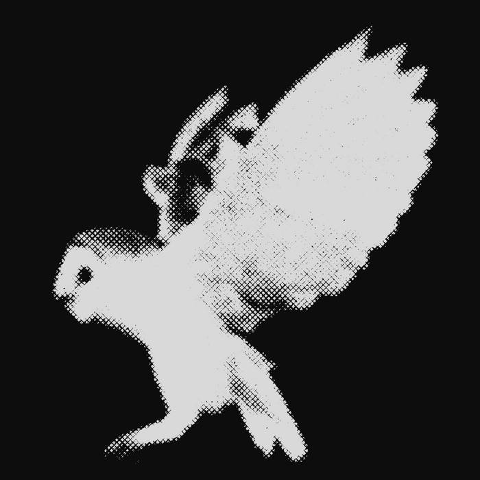 Music | White Owl Records