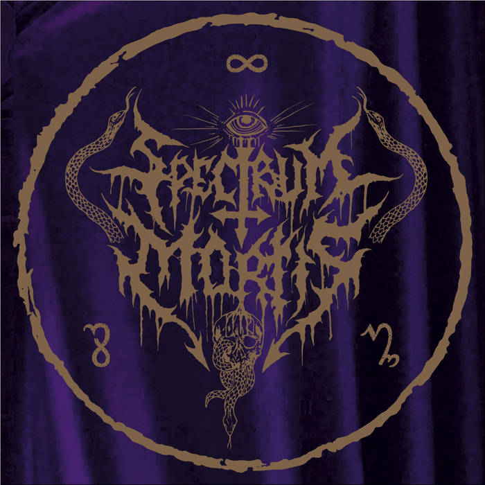 Music | Spectrum Mortis