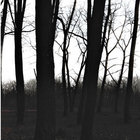 Agalloch thumbnail