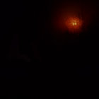 bd125055 thumbnail