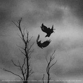 Limited Edition 12" LP [Black], image 3