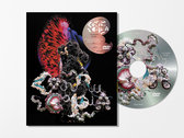 Björk Archives | Björk