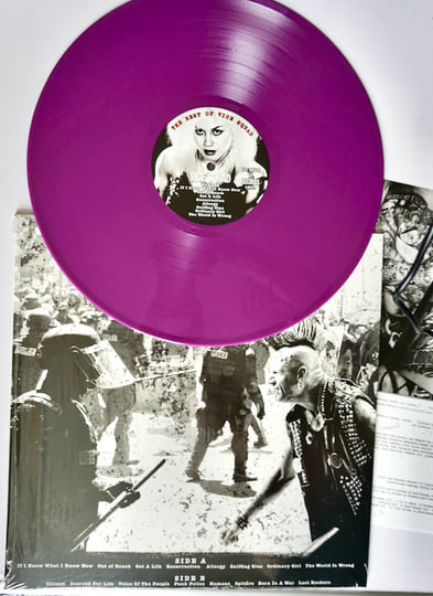 Punk Rockers : The Very Best Of Vice Squad ALBUM | VICE SQUAD