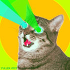 gizzysteve_6 thumbnail