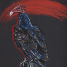 TheKingPrawn thumbnail