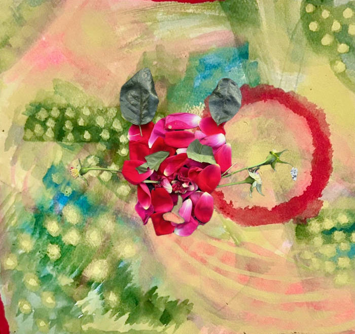 No | Tomato Flower