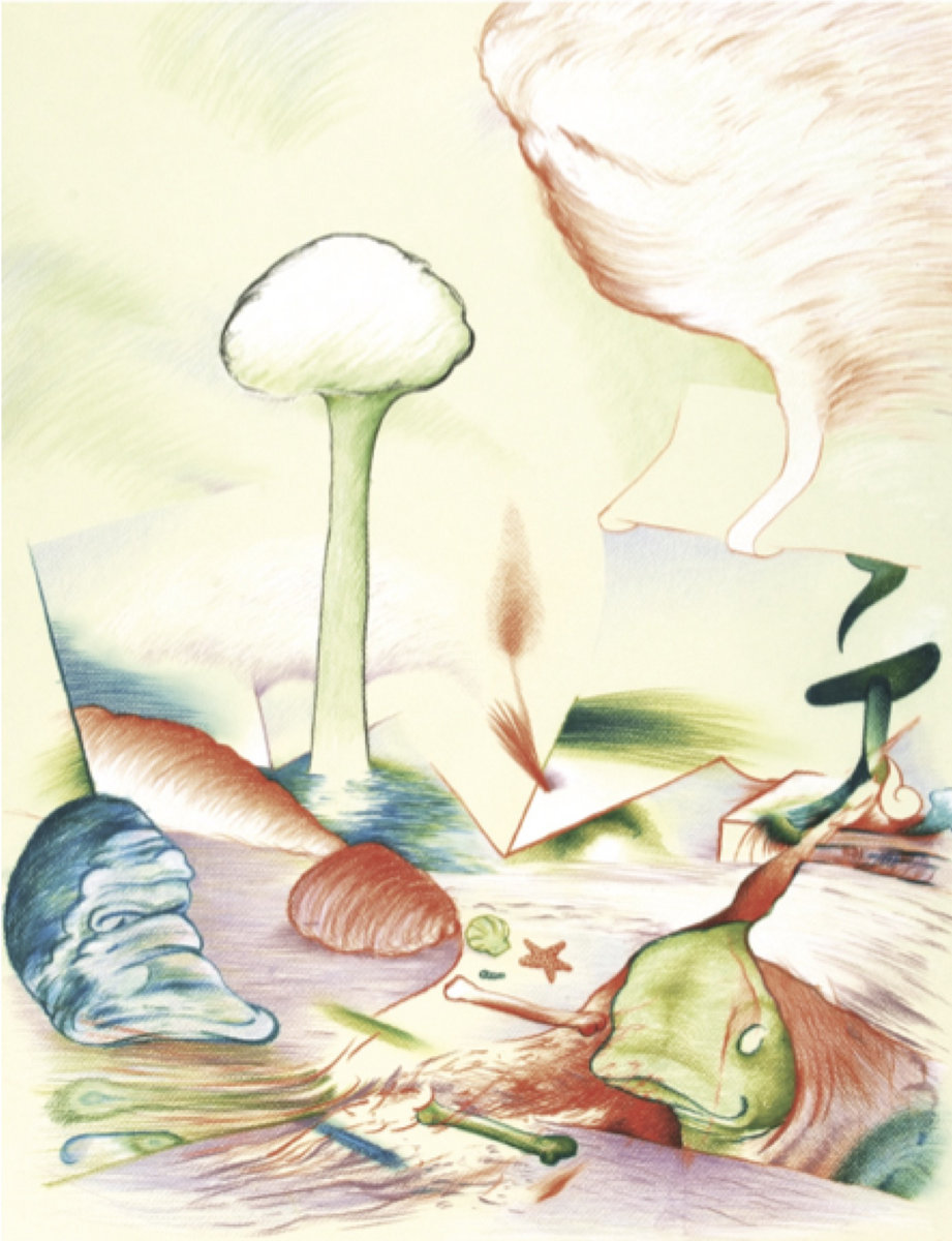 Graham Lambkin – Came to Call Mine Book / C05 CD | Penultimate Press