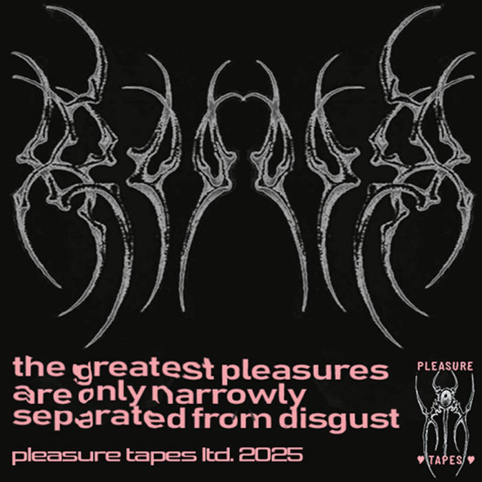 邦楽 EVERTONE   ~ROSARYHILL~ Merch | Pleasure Tapes