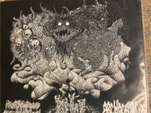 syphilitic vaginas split ep set 新品 Split LP w/Abigail | Syphilitic Vaginas | RFL RECORDS