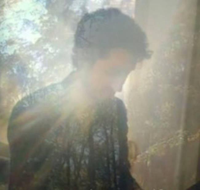 Music | From the Forest