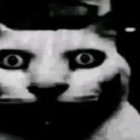 neizvestniy3113 thumbnail